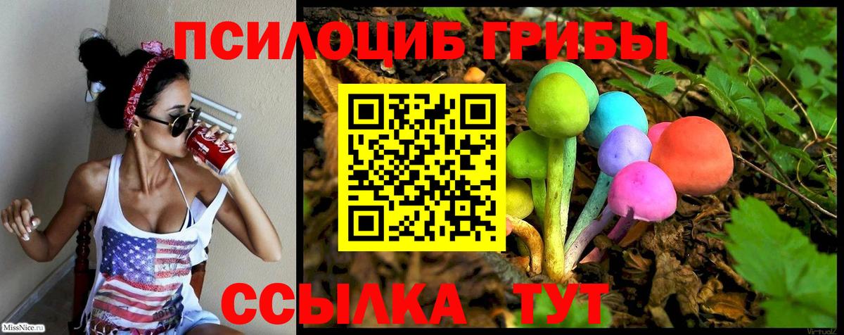Псилоцибиновые грибы мухоморы Сергиев Посад